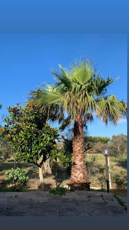 Tenuta Punta Della Suina Villa Gallipoli Eksteriør bilde